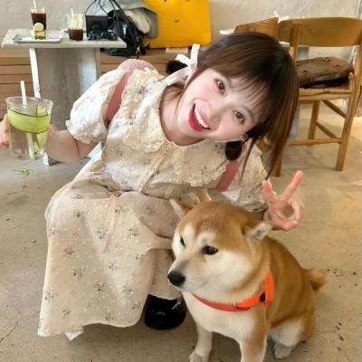 我讨厌苏西第二季